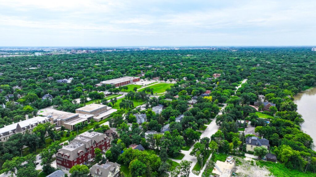 July 2026 Update: Tree Removal and Excavation Underway