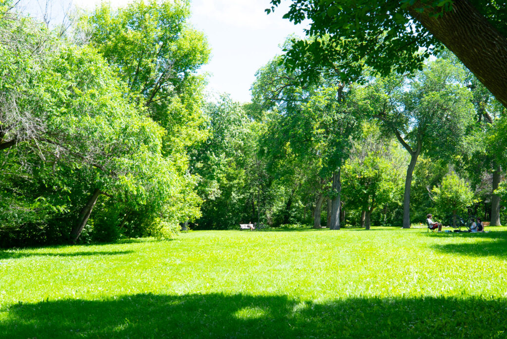 Wellington Guide: Green Spaces