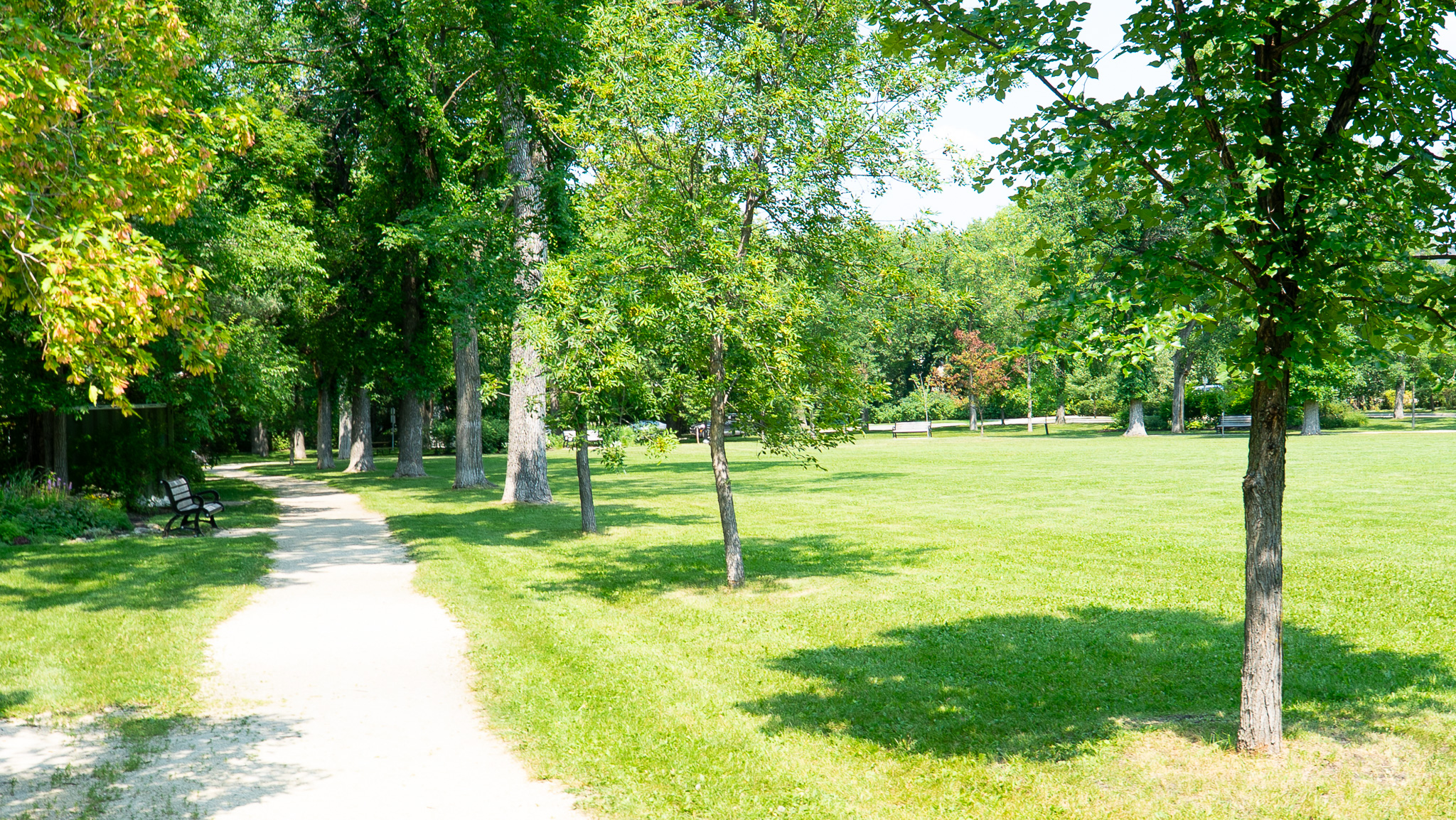Gravel pathway winding past benches and open lawn at Enderton Park