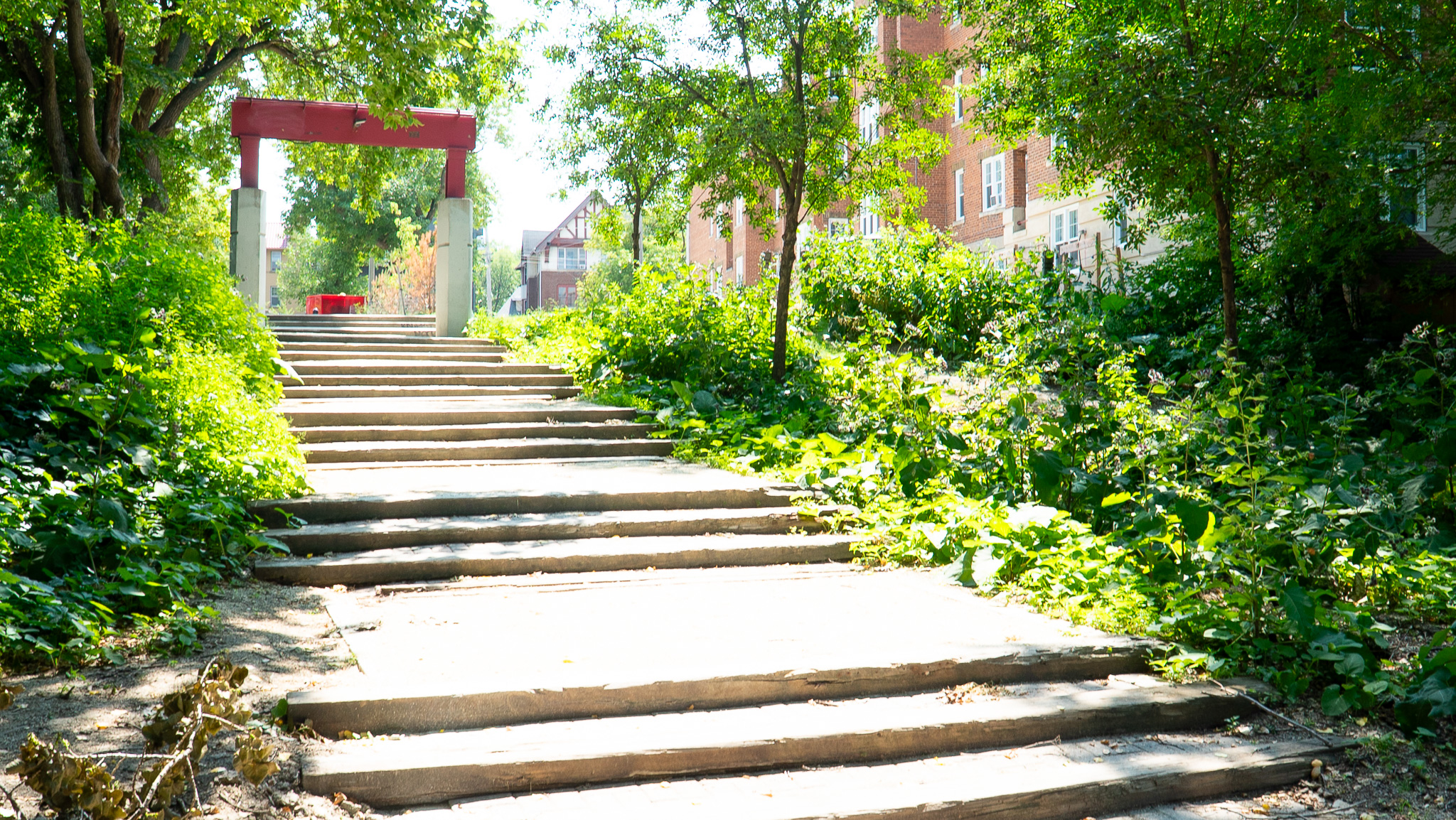Wide concrete steps rising through greenery toward a red archway at Hugo Park